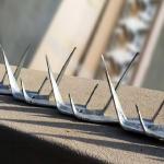 Hot Dipped Galvanized Fence Security Spikes razor wall spikes 1.25M non rusting for sale