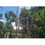 Flexible Green Wall Cable Trellis System , Green Wall Wire Trellis System for sale