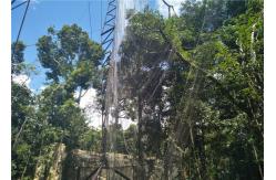 China Flexible Green Wall Cable Trellis System , Green Wall Wire Trellis System supplier