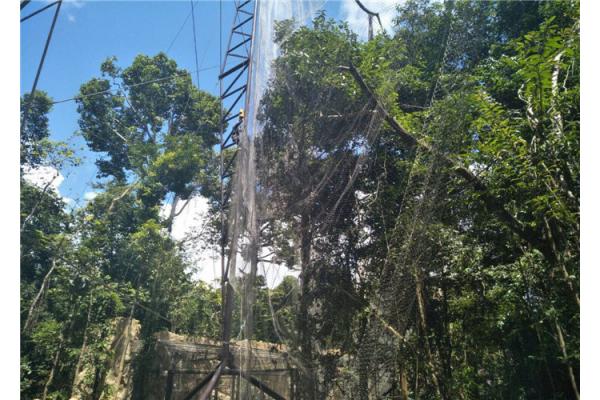 Flexible Green Wall Cable Trellis System , Green Wall Wire Trellis System
