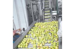 China CE Apple Processing Line with Automatic Disinfection Liquid Concentration Control System supplier