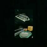 4 Inch Lithium Niobate Wafer Polished 36Y For SAW Applications for sale