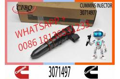 China Fuel Injector Assembly M11 PT 3064881 3071497 Fuel Injector supplier