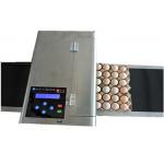 Poultry Egg Date Coding Machine Automatically Updated With LCD Touching Screen