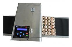 China Poultry Egg Date Coding Machine Automatically Updated With LCD Touching Screen supplier