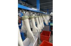 China Large Size Latex Disposable Protective Gloves White Box Packing Non Sterile supplier