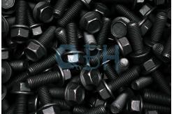 China Carbon Steel B18.2.1 GR2 Flanged Hex Head Bolt supplier