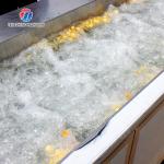 China Year 2025 Silver Fruit And Vegetable Processing Line for Processing factory