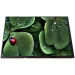 LQ101R1JX02 10.1 inch LCD 2560*1600 LCD Display Screen for sale