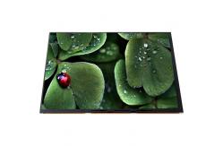 China LQ101R1JX02 10.1 inch LCD 2560*1600 LCD Display Screen supplier