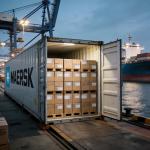 FULL CONTAINER OCEAN FREIGHT ARRIVAL AT PORT , BULK CARGO , CUSTOMS DECLARATION . for sale
