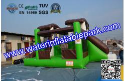 China Indoor and Outdoor Inflatable Bouncy Castle with Slide supplier