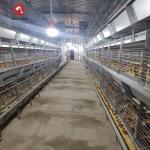 H Type Broiler Chicken Cage Automatic  4 Tiers 100*100*220 CM for sale