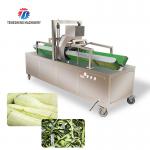 350KG 2.2KW Large efficient wax gourd peeling machine large automatic horizontal wax gourd peeling machine for sale