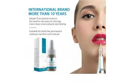 China Private Label Microblading Cosmetic Organic Semi Pigment Ink For Pmu Academy supplier