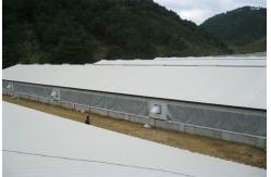 China XGZ Steel Structure Poultry House Customized Size And Layout supplier