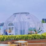 5m Patrick Star Bubble House for sale