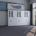 Thickness 1.0mm Metal Document Cabinet With Clothes Locker for sale
