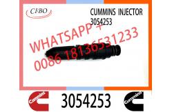 China 3054218 3054253 Engine fuel injector nozzle assy 3054218 3054253 injector nozzles supplier