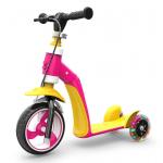 2 In 1 Skate Kick Scooter