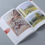 Softcover Custom Size Brochure Printing Fsc Iso9001 Certificate for sale