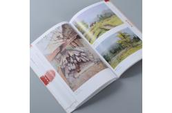 China Softcover Custom Size Brochure Printing Fsc Iso9001 Certificate supplier