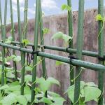 China 4 foot steel garden stakes for tomato support diameter 16cm for sale