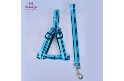China Nylon Rope Odm XL Dog Walking Training Leash supplier