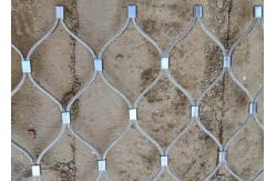 China Knotted Security Bridge Stainless Steel Rope Mesh Netting Sus 316 2.5 Mm supplier