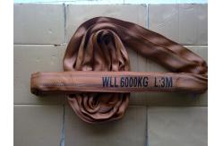 China Customized Size Endless Polyester Sling , 6000kg Round Endless Lifting Slings supplier