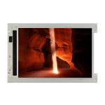 LM10V335 LCD Screen Display 10.4 inch industrial LCD Panel 640*480 CCFL 31 pins for sale