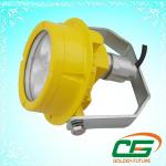 Chemical Plant 20W LED Explosion Proof Light IP67 2000K Warm White For Chemical Plant for sale
