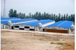 China Customized Prefabricated Steel Structure Warehouse Workshop supplier