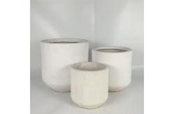 China Wholesale Real Plant Display With Fiber Clay Planters Decoration supplier