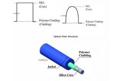 China Fluoride Doped Acrylate BGHP Plastic - Clad Silica Fiber supplier