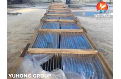 China ASTM A213 TP316L Stainless Steel U Bend Tubes Penetration Test Available supplier