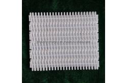 China                  Easy-to-Clean Plastic Conveyor Belts with 27.2mm Pitch              supplier
