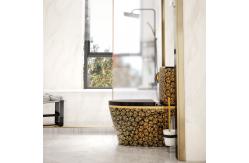 China 300mm 400mm Roughing In One Piece Toilet Sanitary Ware Dual Flush supplier