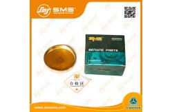 China 190003989210 SMS Truck Engine Parts Core Hole Plug Copper supplier