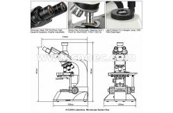 China WF10X Cordless Polarizing Compound Optical Microscope Trinocular A12.0204 supplier