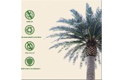 China Date Palm Garden Artificial Landscape Trees 2000cm Height UV Resistance supplier