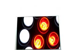 China TX31D67VC1CAA 12.1 inch 105PPI LCD Panel with Laptop supplier