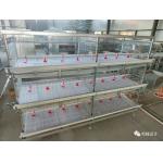 Durable Galvanized Multi Poultry Broiler Cage Large Capacity for sale