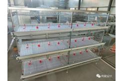 China Durable Galvanized Multi Poultry Broiler Cage Large Capacity supplier