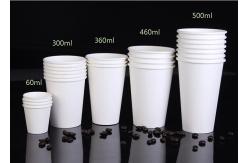 China Customized Intelligent Paper Tea Cup Making Machine Single PE Coated Paper supplier