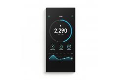 China 65'' Hanging LCD Wall 1080P Smart Exercise Mirror Full Body Dressing Glass supplier