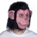 Rubber Latex Animal Gorilla Ape Mask Eco Friendly 22*35cm OEM ODM for sale
