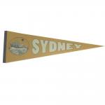 100D Polyester Advertising Felt Pennant Banner CMYK Colorful for sale