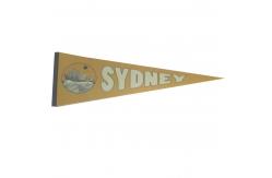 China 100D Polyester Advertising Felt Pennant Banner CMYK Colorful supplier