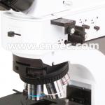 Infinity Trinocular  BF / DF DIC Metallurgical Optical Microscope Halogen Light A13.1013